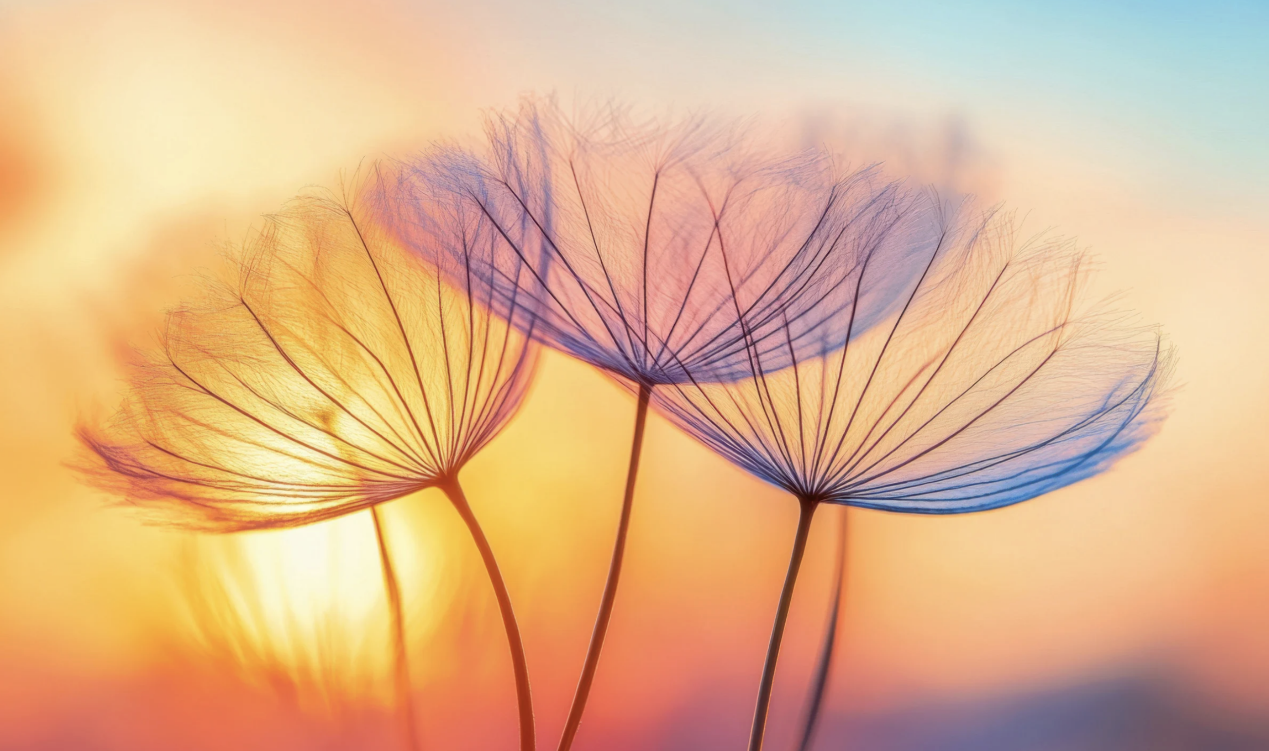 Soins énergétiques – Le LaHoChi